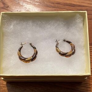 Elegant Gold and SilverTwisted Hoop Earrings